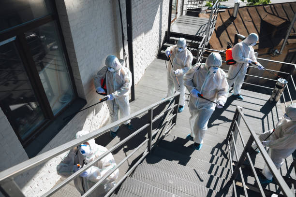Best Asbestos and Lead Testing During Mold Inspection  in Imlay City, MI