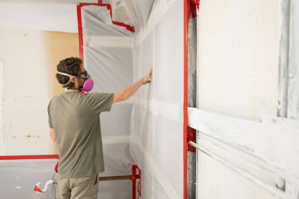 Best Industrial Mold Remediation  in Imlay City, MI
