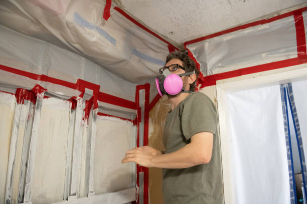 Best Crawl Space Mold Remediation  in Imlay City, MI
