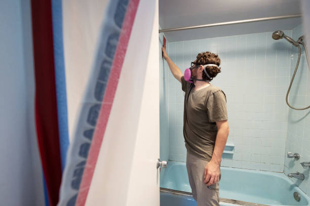 Best Comprehensive Air Testing for Mold Contaminants  in Imlay City, MI