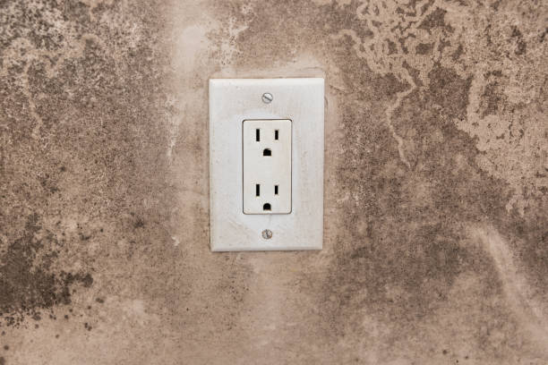 Best Dehumidification Services  in Imlay City, MI