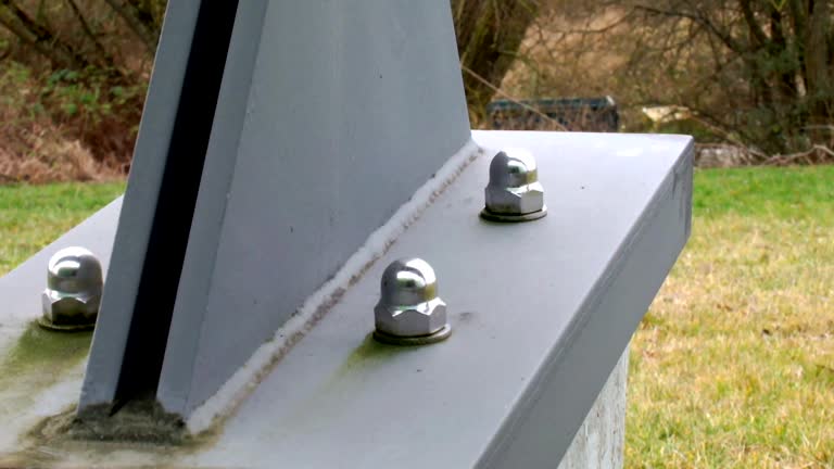 Best Attic Mold Removal  in Imlay City, MI